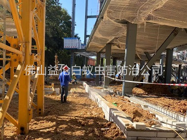 张槎新建白蚁预防工程