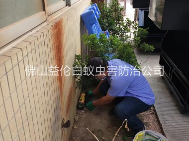 南庄投放灭鼠装置工程