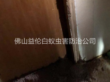 石湾房屋防治白蚁工程