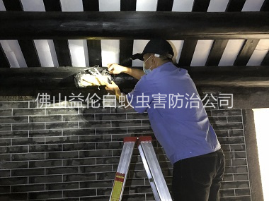 张槎祠堂杀灭白蚁工程