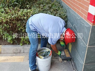 佛山安装灭鼠器工程