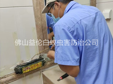 溶洲诱杀箱施药灭杀白蚁工程