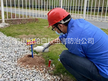 石湾红火蚁防治工程