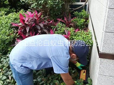 禅城住宅环境灭鼠工程