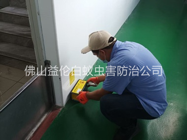 禅城工厂车间室内布置粘鼠板工程